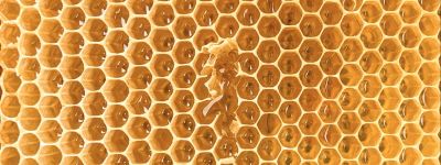 Golden Honey: Honig und Kurkuma